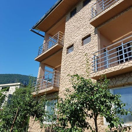 Guesthouse On Sovhoznaya 18 Gagra Luaran gambar