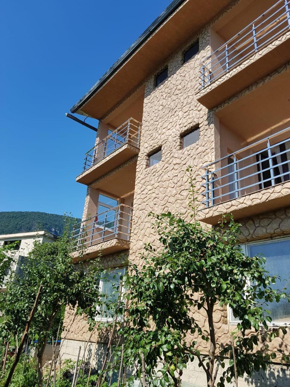 Guesthouse On Sovhoznaya 18 Gagra Luaran gambar